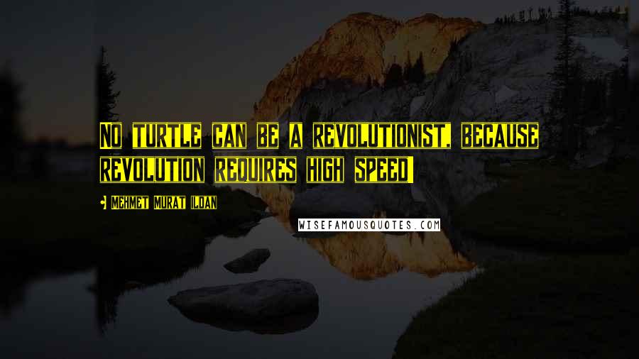 Mehmet Murat Ildan Quotes: No turtle can be a revolutionist, because revolution requires high speed!