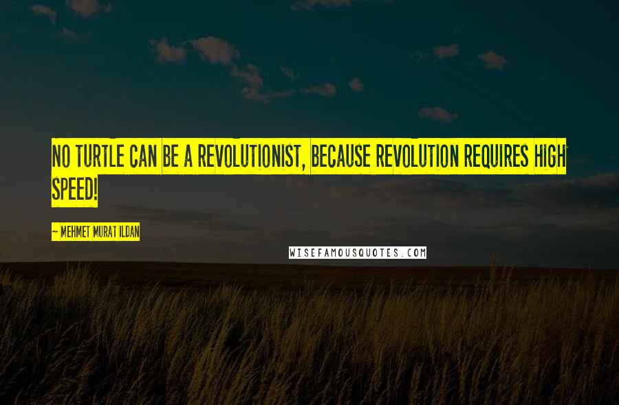 Mehmet Murat Ildan Quotes: No turtle can be a revolutionist, because revolution requires high speed!