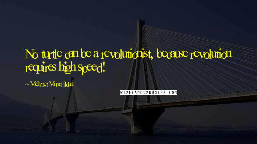 Mehmet Murat Ildan Quotes: No turtle can be a revolutionist, because revolution requires high speed!