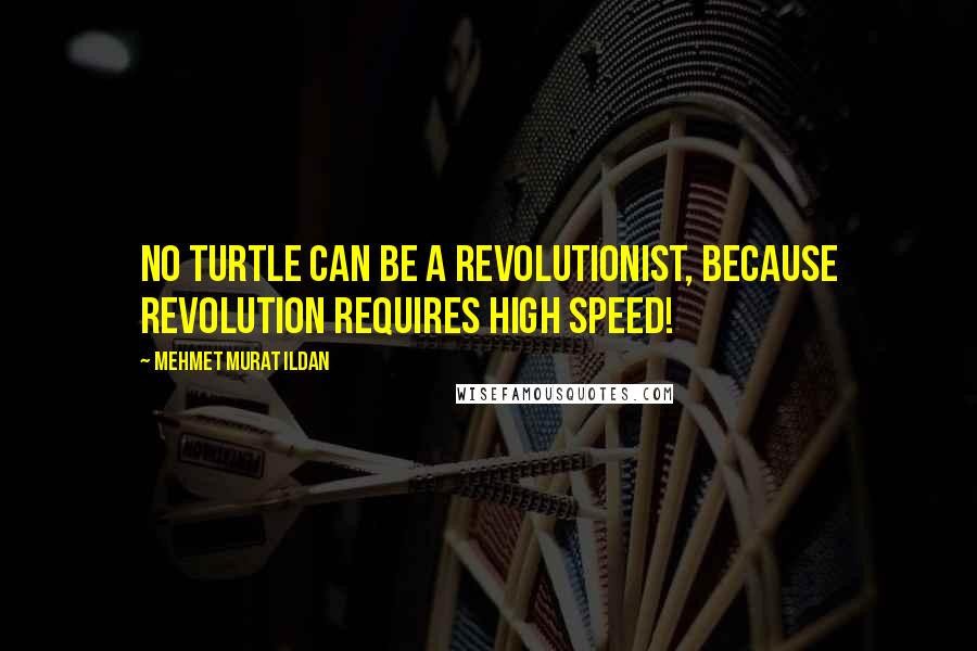 Mehmet Murat Ildan Quotes: No turtle can be a revolutionist, because revolution requires high speed!