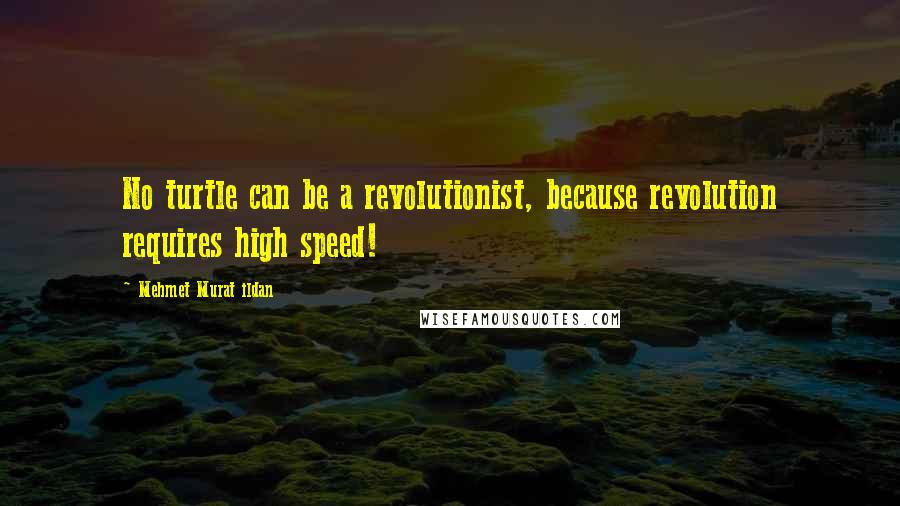 Mehmet Murat Ildan Quotes: No turtle can be a revolutionist, because revolution requires high speed!