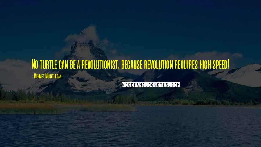 Mehmet Murat Ildan Quotes: No turtle can be a revolutionist, because revolution requires high speed!