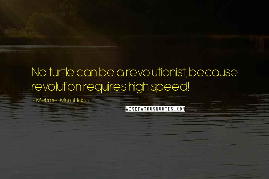 Mehmet Murat Ildan Quotes: No turtle can be a revolutionist, because revolution requires high speed!