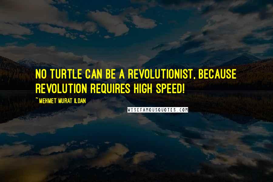 Mehmet Murat Ildan Quotes: No turtle can be a revolutionist, because revolution requires high speed!