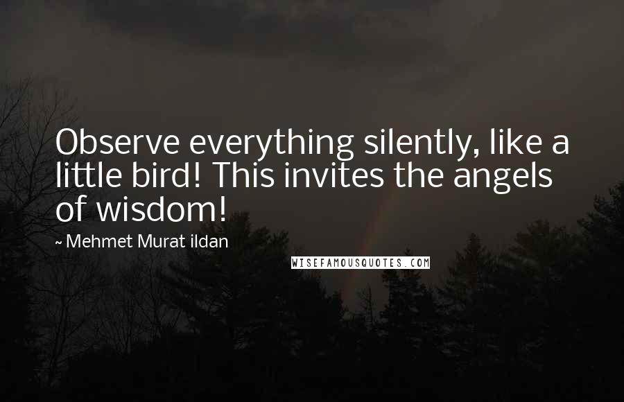 Mehmet Murat Ildan Quotes: Observe everything silently, like a little bird! This invites the angels of wisdom!