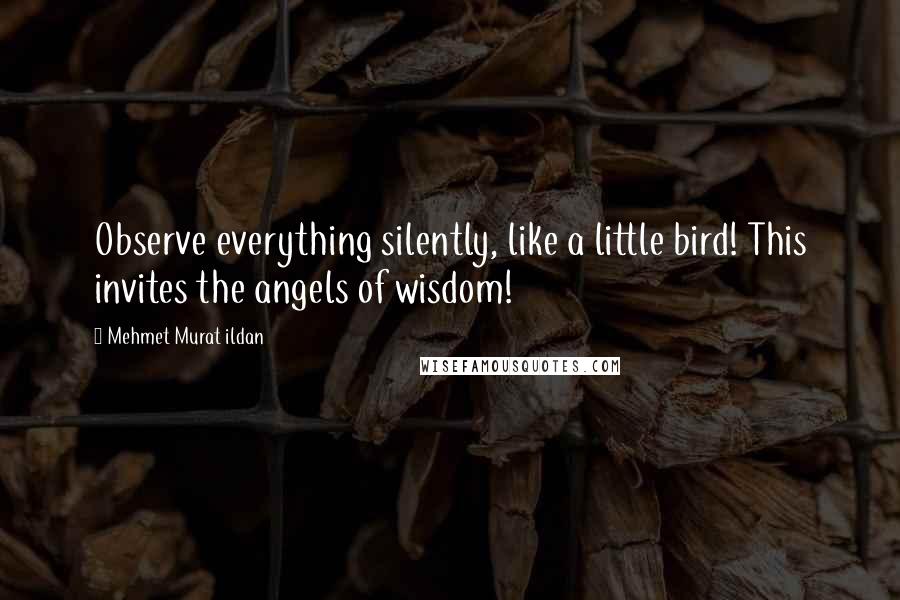 Mehmet Murat Ildan Quotes: Observe everything silently, like a little bird! This invites the angels of wisdom!