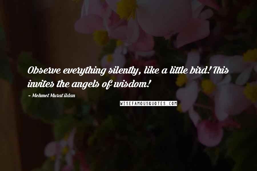 Mehmet Murat Ildan Quotes: Observe everything silently, like a little bird! This invites the angels of wisdom!