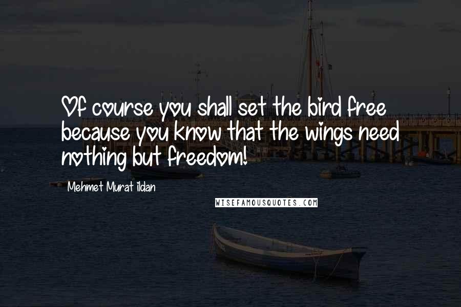 Mehmet Murat Ildan Quotes: Of course you shall set the bird free because you know that the wings need nothing but freedom!