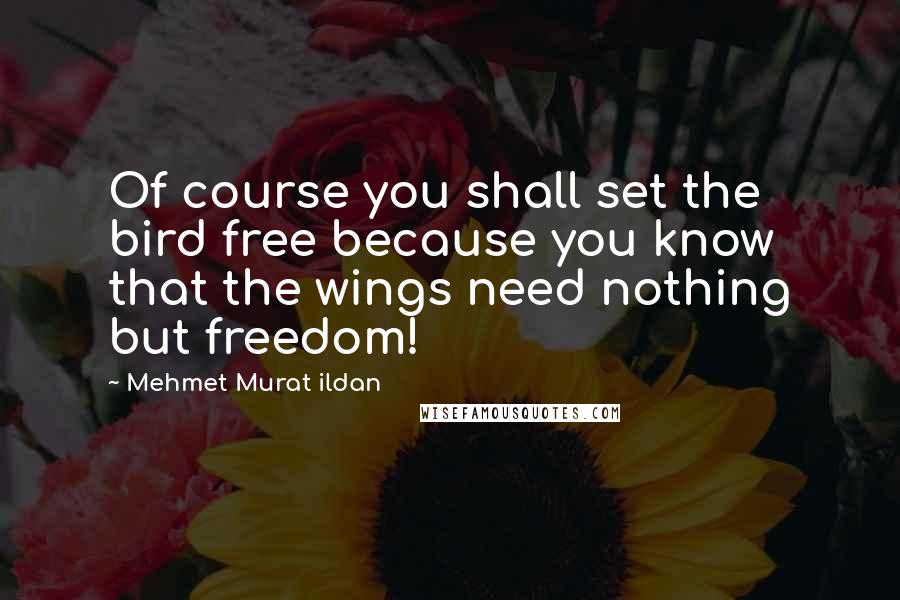 Mehmet Murat Ildan Quotes: Of course you shall set the bird free because you know that the wings need nothing but freedom!