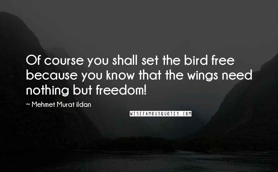 Mehmet Murat Ildan Quotes: Of course you shall set the bird free because you know that the wings need nothing but freedom!