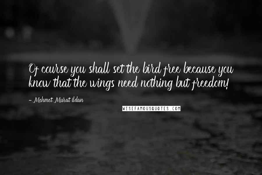Mehmet Murat Ildan Quotes: Of course you shall set the bird free because you know that the wings need nothing but freedom!