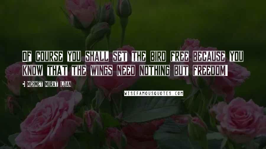 Mehmet Murat Ildan Quotes: Of course you shall set the bird free because you know that the wings need nothing but freedom!