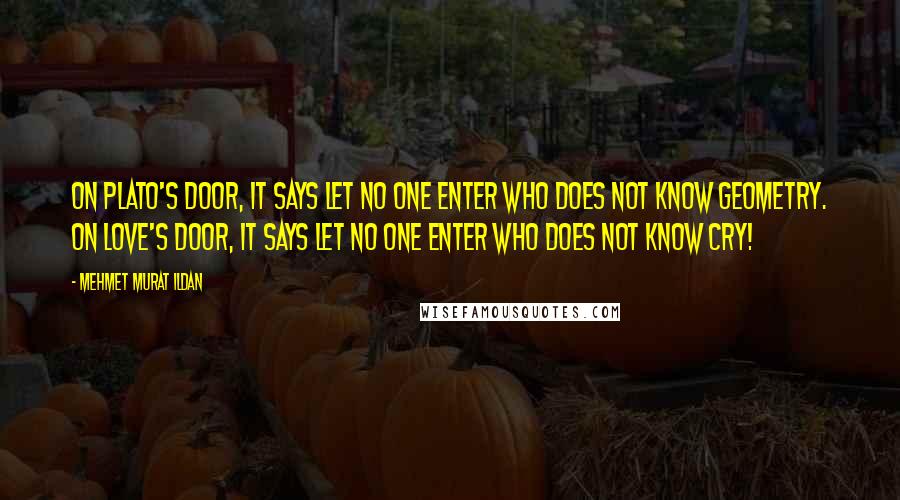 Mehmet Murat Ildan Quotes: On Plato's door, it says let no one enter who does not know geometry. On Love's door, it says let no one enter who does not know cry!