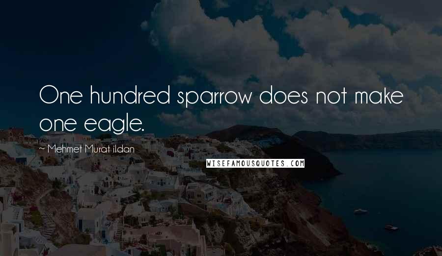 Mehmet Murat Ildan Quotes: One hundred sparrow does not make one eagle.