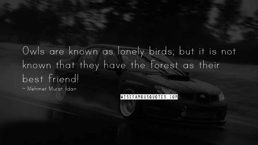 Mehmet Murat Ildan Quotes: Owls are known as lonely birds; but it is not known that they have the forest as their best friend!