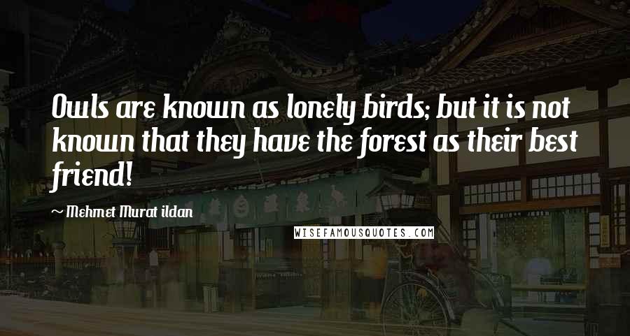 Mehmet Murat Ildan Quotes: Owls are known as lonely birds; but it is not known that they have the forest as their best friend!