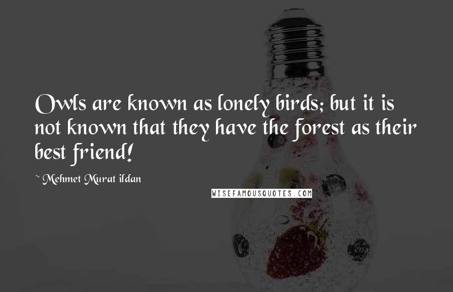 Mehmet Murat Ildan Quotes: Owls are known as lonely birds; but it is not known that they have the forest as their best friend!