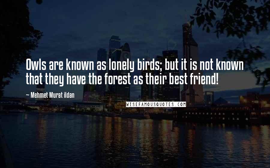 Mehmet Murat Ildan Quotes: Owls are known as lonely birds; but it is not known that they have the forest as their best friend!