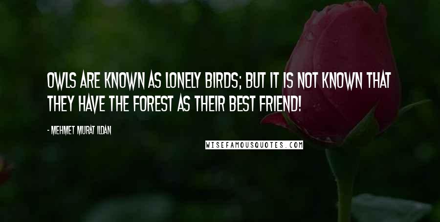 Mehmet Murat Ildan Quotes: Owls are known as lonely birds; but it is not known that they have the forest as their best friend!