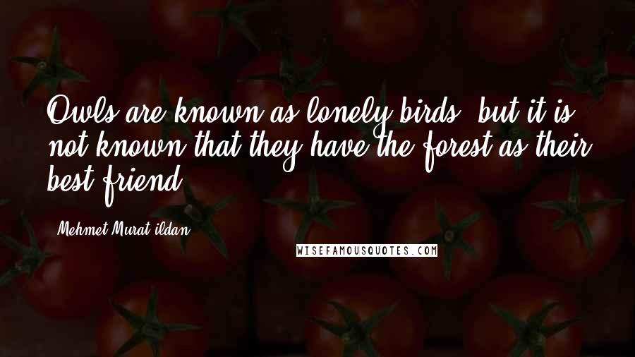 Mehmet Murat Ildan Quotes: Owls are known as lonely birds; but it is not known that they have the forest as their best friend!