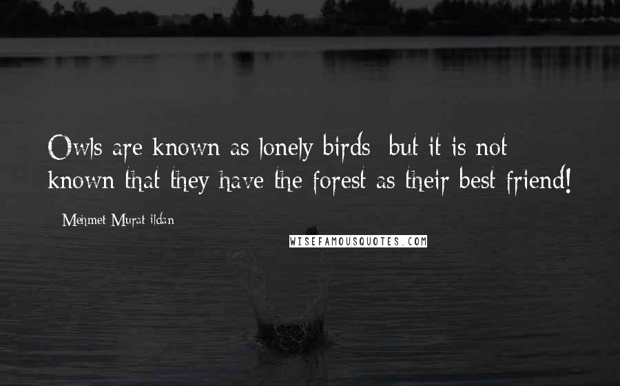 Mehmet Murat Ildan Quotes: Owls are known as lonely birds; but it is not known that they have the forest as their best friend!