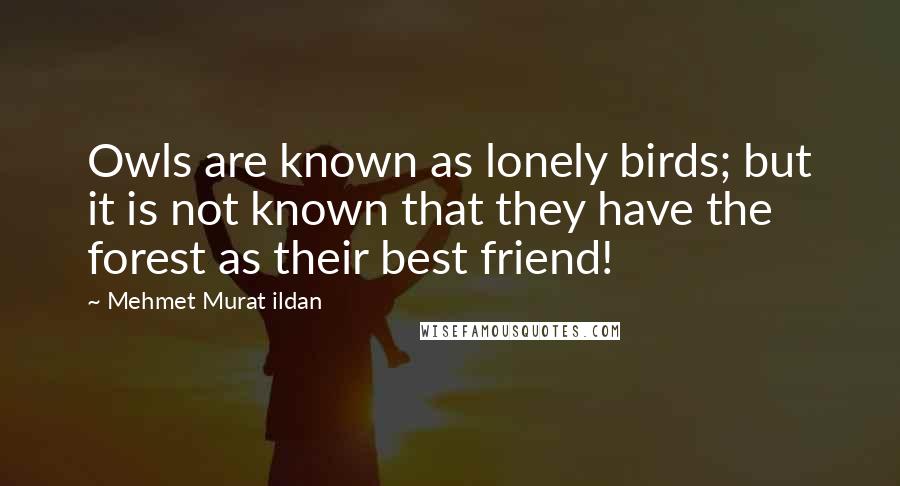 Mehmet Murat Ildan Quotes: Owls are known as lonely birds; but it is not known that they have the forest as their best friend!