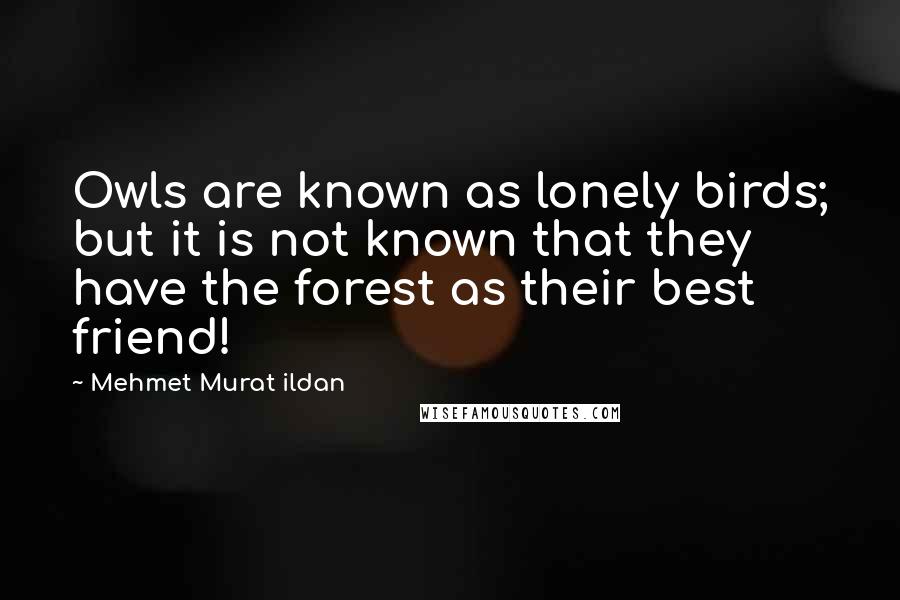 Mehmet Murat Ildan Quotes: Owls are known as lonely birds; but it is not known that they have the forest as their best friend!