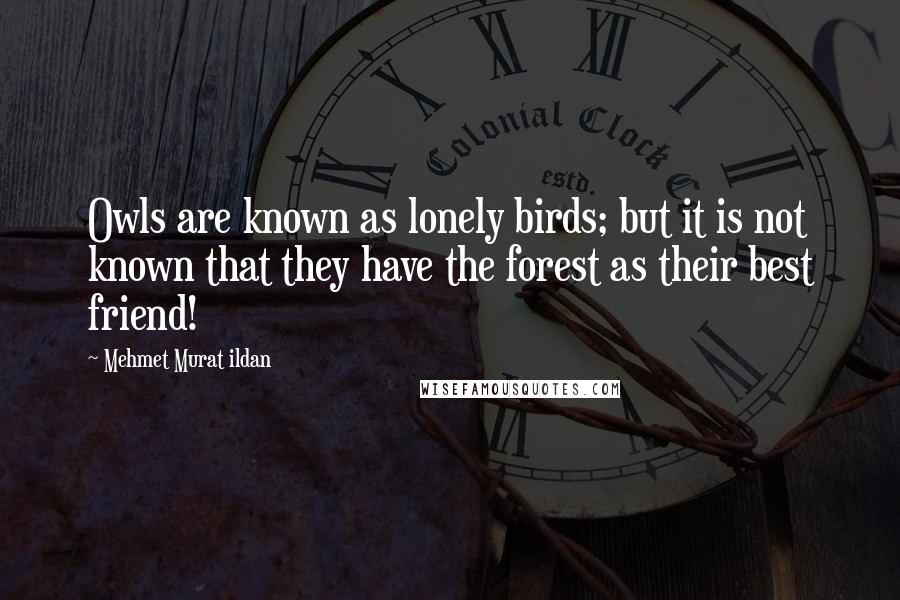 Mehmet Murat Ildan Quotes: Owls are known as lonely birds; but it is not known that they have the forest as their best friend!