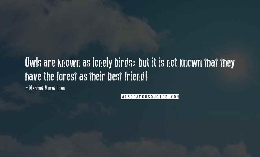 Mehmet Murat Ildan Quotes: Owls are known as lonely birds; but it is not known that they have the forest as their best friend!