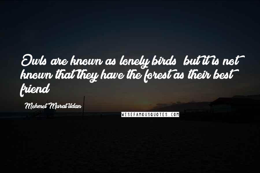 Mehmet Murat Ildan Quotes: Owls are known as lonely birds; but it is not known that they have the forest as their best friend!