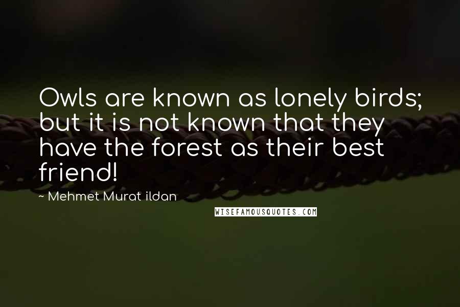 Mehmet Murat Ildan Quotes: Owls are known as lonely birds; but it is not known that they have the forest as their best friend!