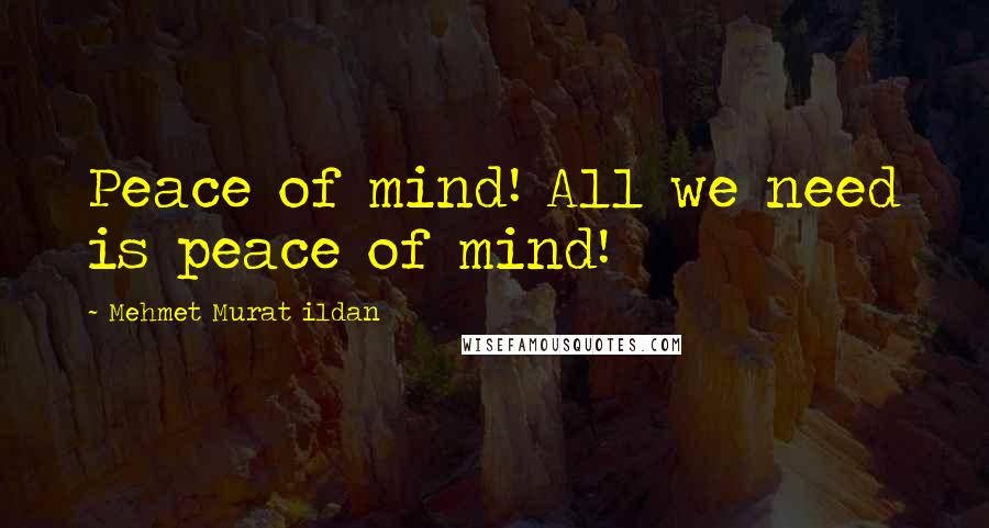 Mehmet Murat Ildan Quotes: Peace of mind! All we need is peace of mind!