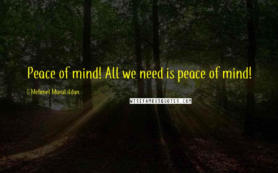 Mehmet Murat Ildan Quotes: Peace of mind! All we need is peace of mind!
