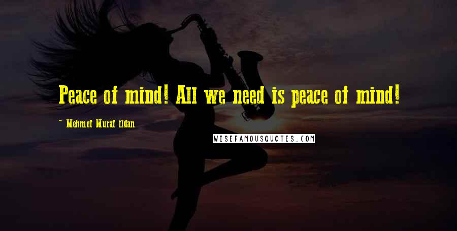 Mehmet Murat Ildan Quotes: Peace of mind! All we need is peace of mind!