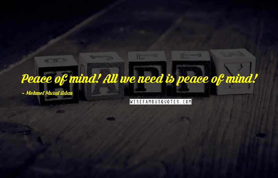 Mehmet Murat Ildan Quotes: Peace of mind! All we need is peace of mind!