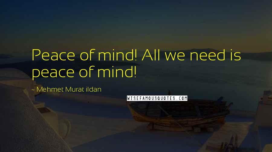 Mehmet Murat Ildan Quotes: Peace of mind! All we need is peace of mind!