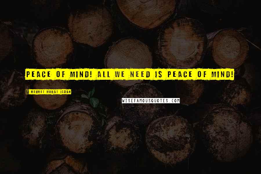 Mehmet Murat Ildan Quotes: Peace of mind! All we need is peace of mind!