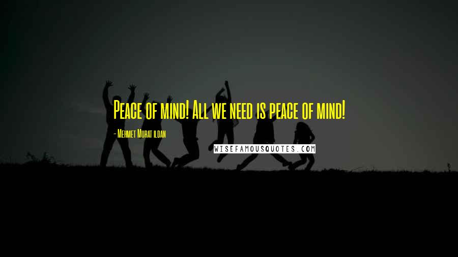 Mehmet Murat Ildan Quotes: Peace of mind! All we need is peace of mind!