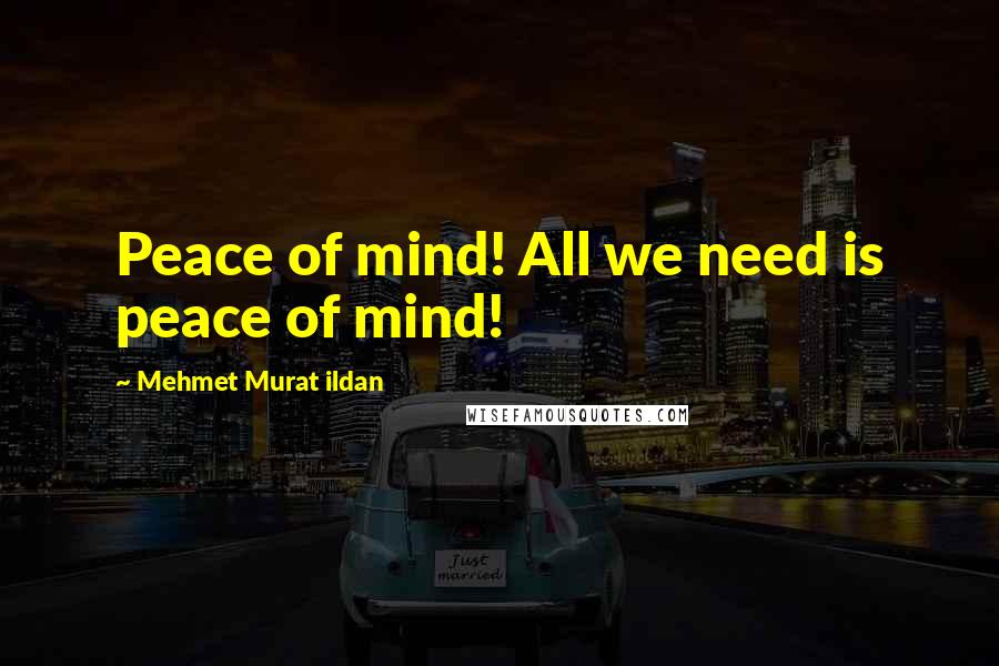 Mehmet Murat Ildan Quotes: Peace of mind! All we need is peace of mind!