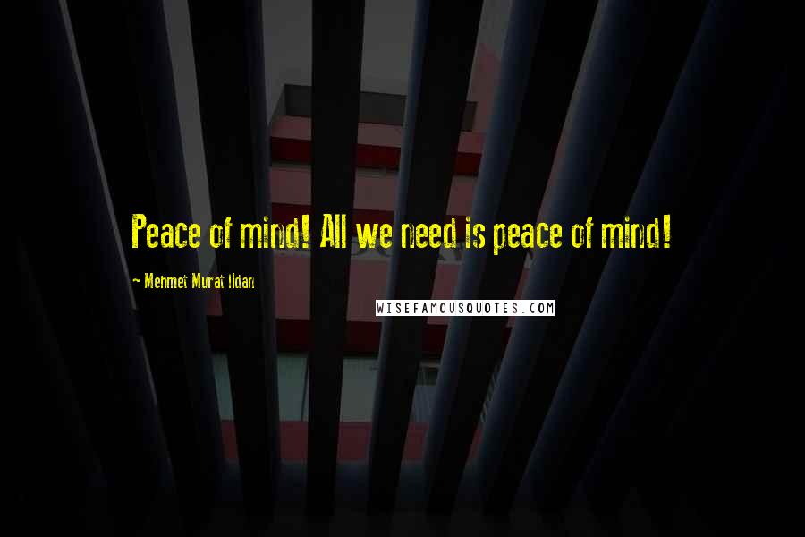 Mehmet Murat Ildan Quotes: Peace of mind! All we need is peace of mind!