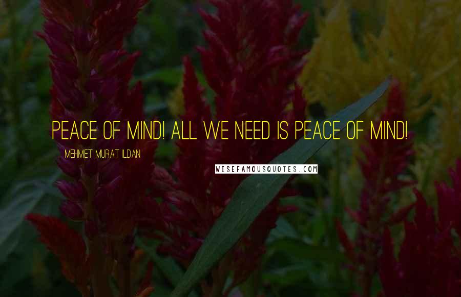 Mehmet Murat Ildan Quotes: Peace of mind! All we need is peace of mind!
