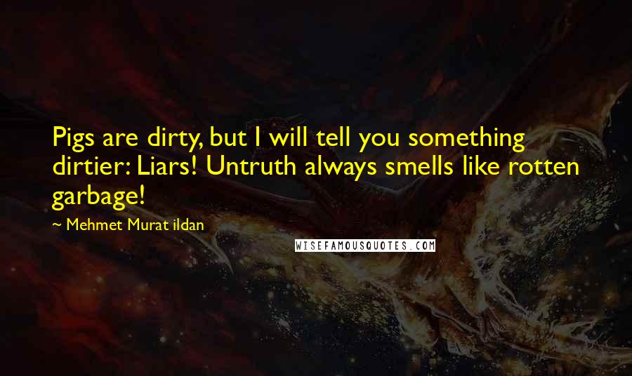 Mehmet Murat Ildan Quotes: Pigs are dirty, but I will tell you something dirtier: Liars! Untruth always smells like rotten garbage!