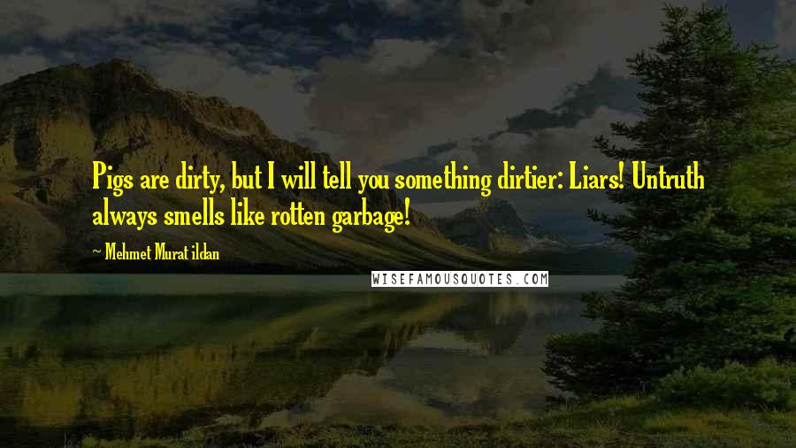 Mehmet Murat Ildan Quotes: Pigs are dirty, but I will tell you something dirtier: Liars! Untruth always smells like rotten garbage!