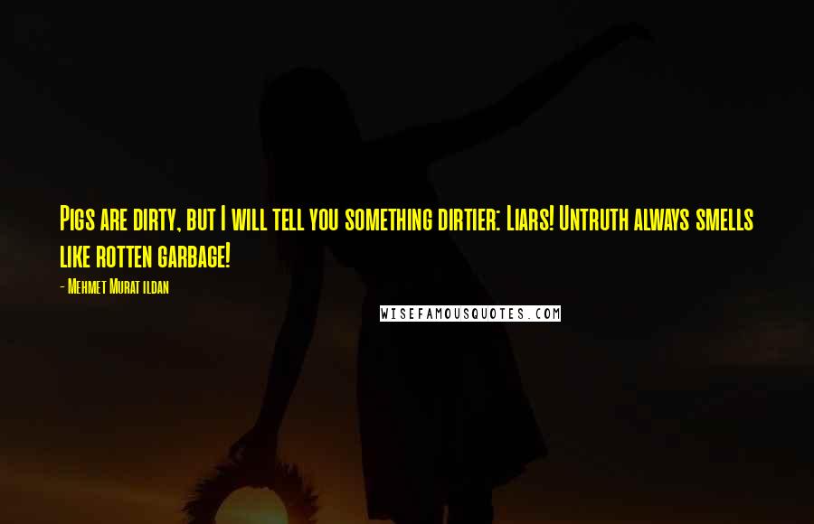 Mehmet Murat Ildan Quotes: Pigs are dirty, but I will tell you something dirtier: Liars! Untruth always smells like rotten garbage!
