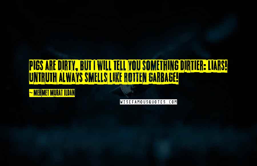 Mehmet Murat Ildan Quotes: Pigs are dirty, but I will tell you something dirtier: Liars! Untruth always smells like rotten garbage!