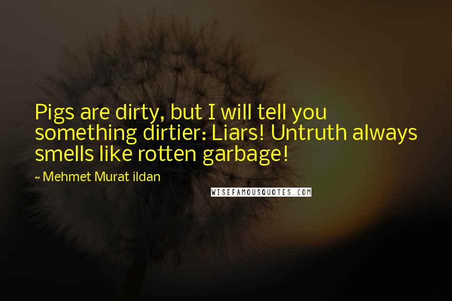 Mehmet Murat Ildan Quotes: Pigs are dirty, but I will tell you something dirtier: Liars! Untruth always smells like rotten garbage!