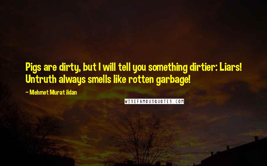 Mehmet Murat Ildan Quotes: Pigs are dirty, but I will tell you something dirtier: Liars! Untruth always smells like rotten garbage!