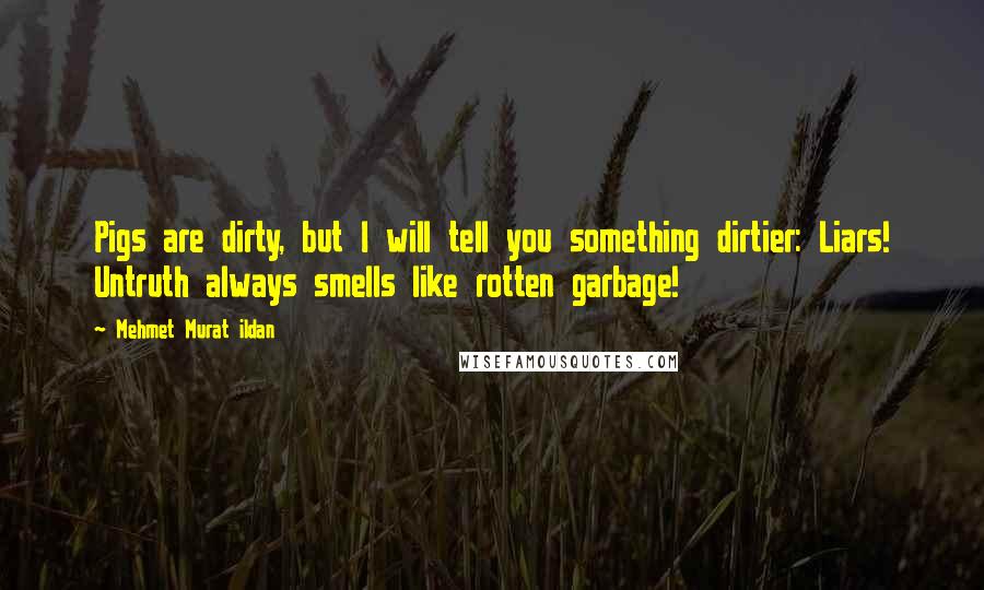 Mehmet Murat Ildan Quotes: Pigs are dirty, but I will tell you something dirtier: Liars! Untruth always smells like rotten garbage!