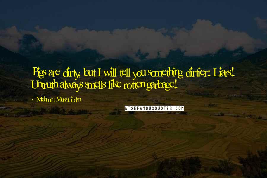 Mehmet Murat Ildan Quotes: Pigs are dirty, but I will tell you something dirtier: Liars! Untruth always smells like rotten garbage!