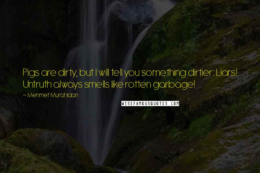 Mehmet Murat Ildan Quotes: Pigs are dirty, but I will tell you something dirtier: Liars! Untruth always smells like rotten garbage!